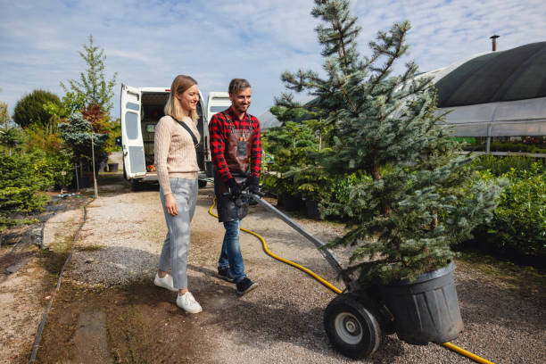 Best Emergency Tree Service  in Osawatomie, KS